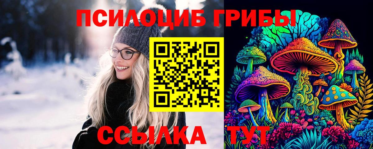 Сочи  где найти   Вход с VPN  Галлюциногенные грибы GOLDEN TEACHER 